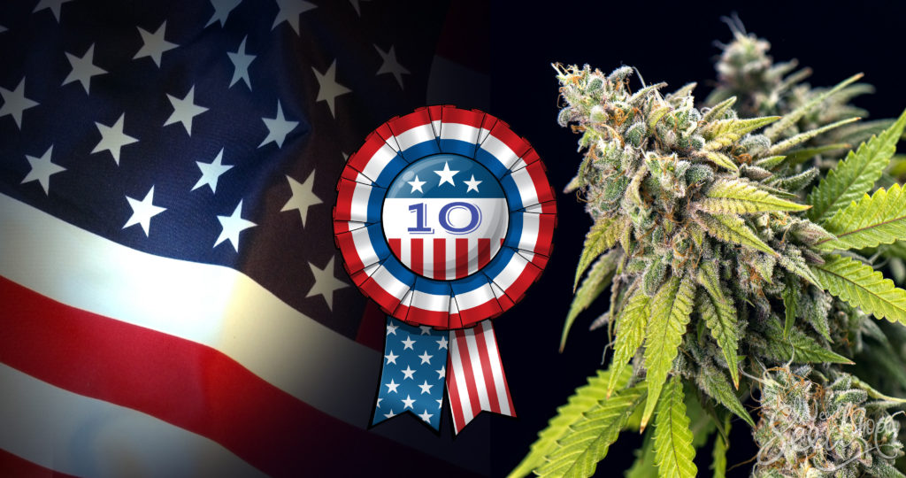 10 Cannabis Strains That Are a Hit in The U.S. - WeedSeedShop Blog