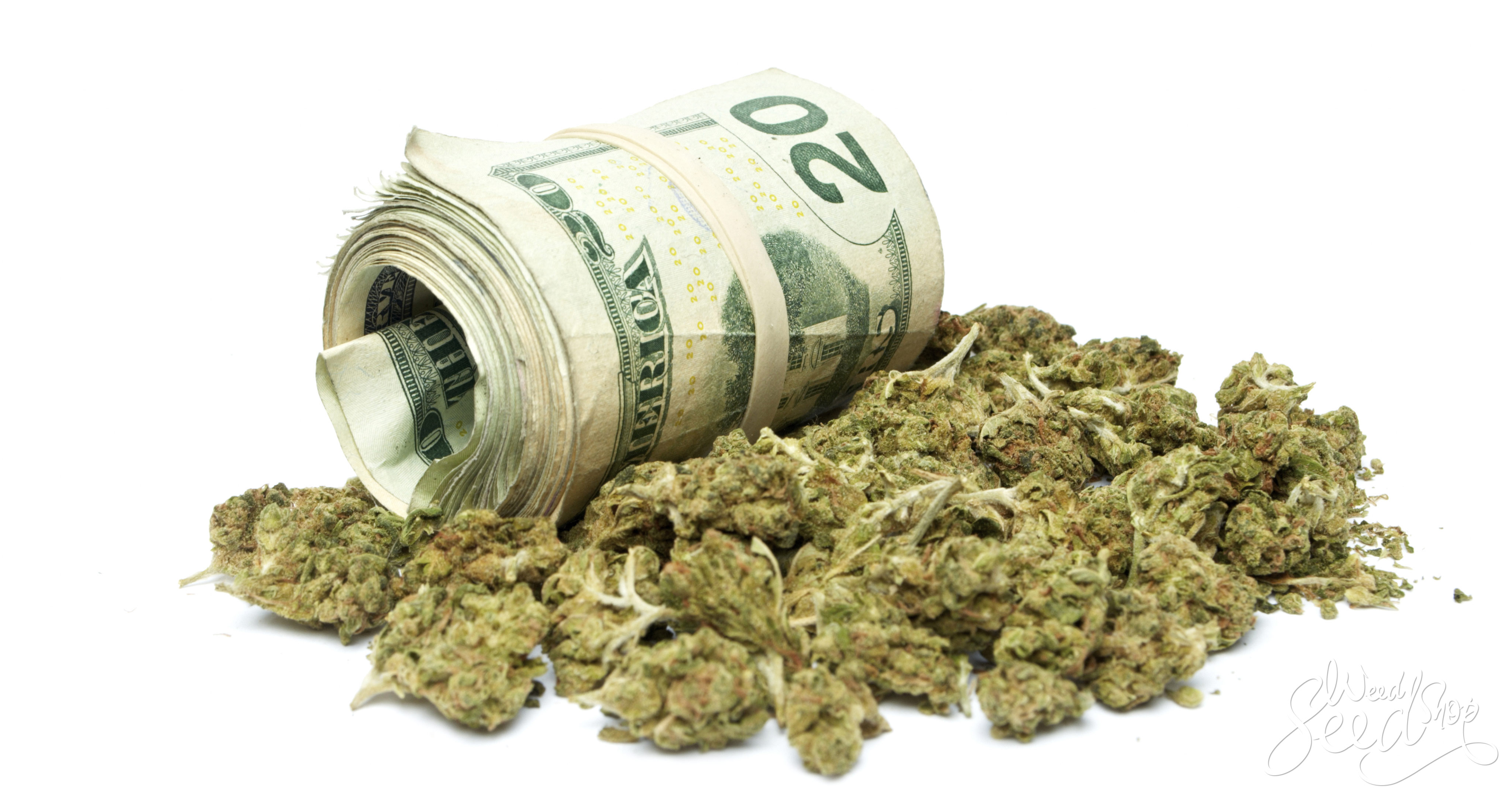 9 formas para ahorrar dinero en marihuana- WeedSeedShop