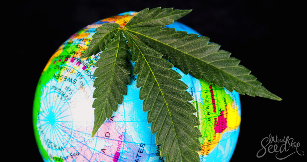 A Guide to Weed Culture Around the World - WeedSeedShop