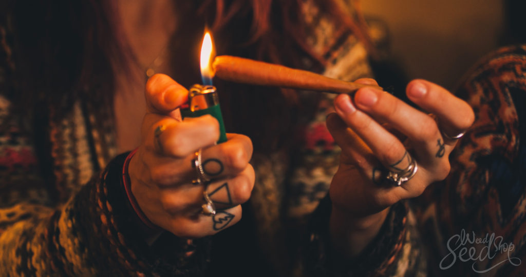 Substitutes & Alternatives to Rolling Paper - WeedSeedShop Blog