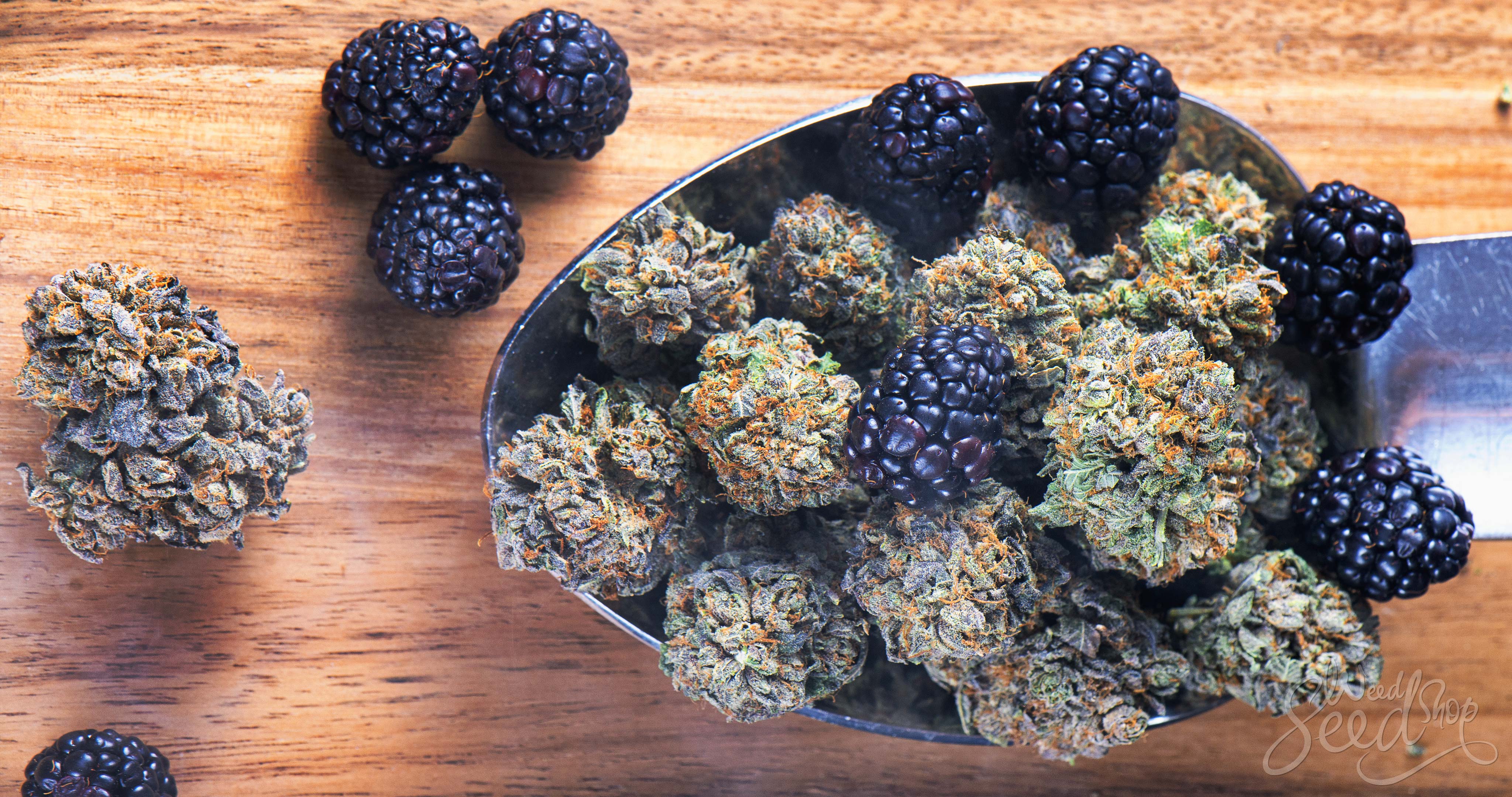 What are Flavonoids and What Do They Do? - WeedSeedShop