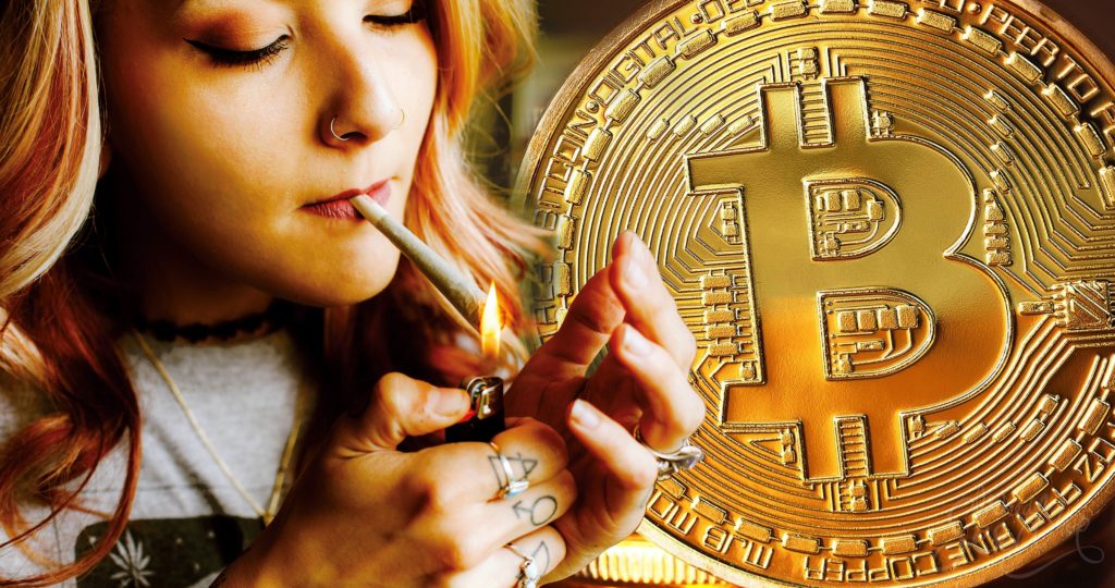 El Cannabis y la criptomoneda: ¿Las Bitcoins pueden ser intercambiadas por cogollos? - Weed Seed Shop Blog