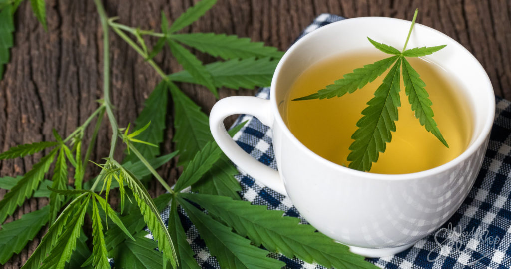 Cómo hacer té de cannabis con tallos – WeedSeedShop Blog