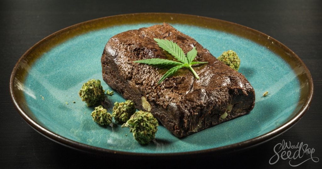 Cómo hacer brownies de marihuana - WeedSeedShop