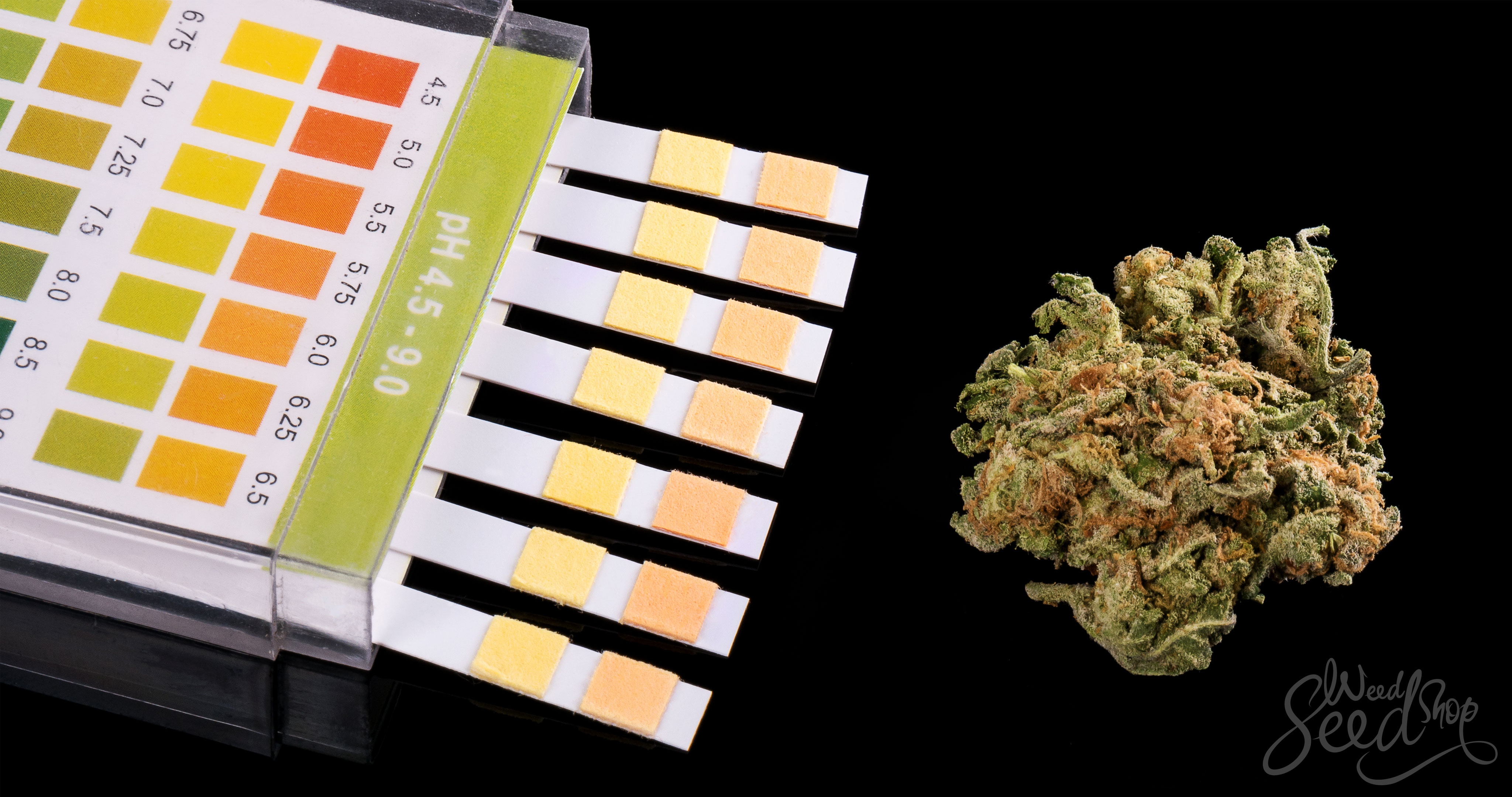 Comment réussir un test de dépistage de THC - WeedSeedShop