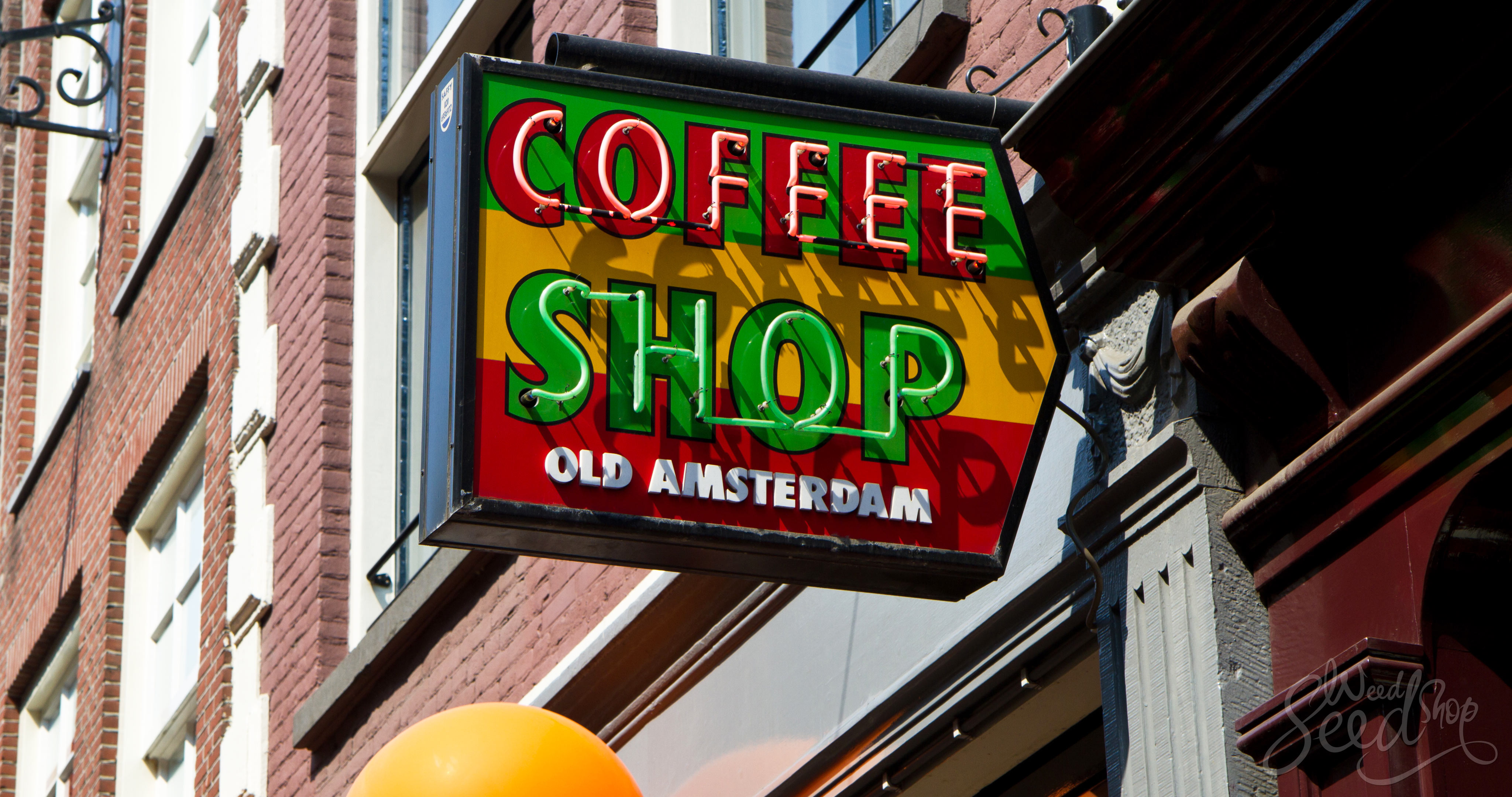 How to Visit a Coffeeshop in Amsterdam - WeedSeedShop