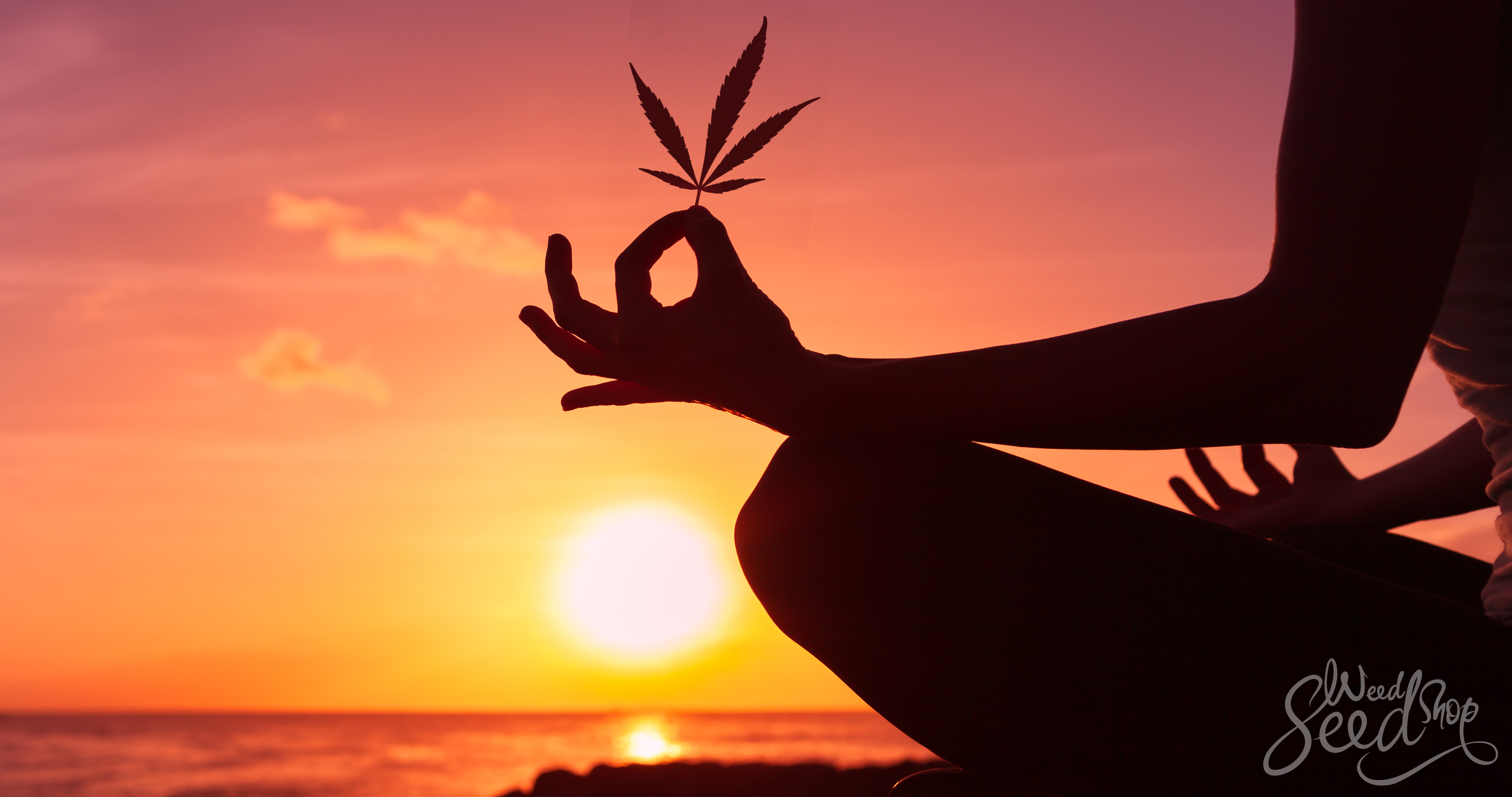 Formas en las que puedes combinar la marihuana y la meditación