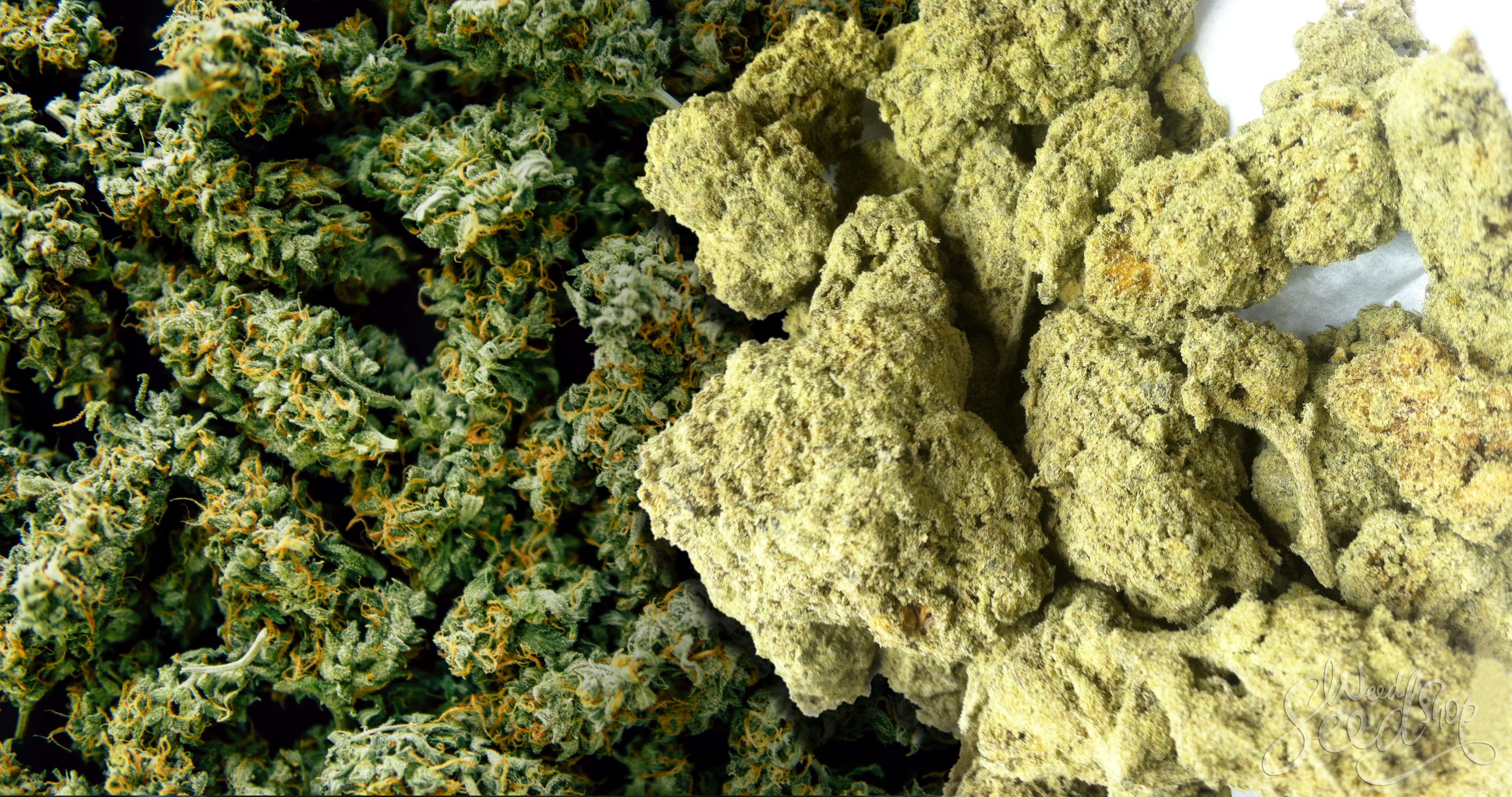 Comment faire et fumer des moon rocks - WeedSeedShop