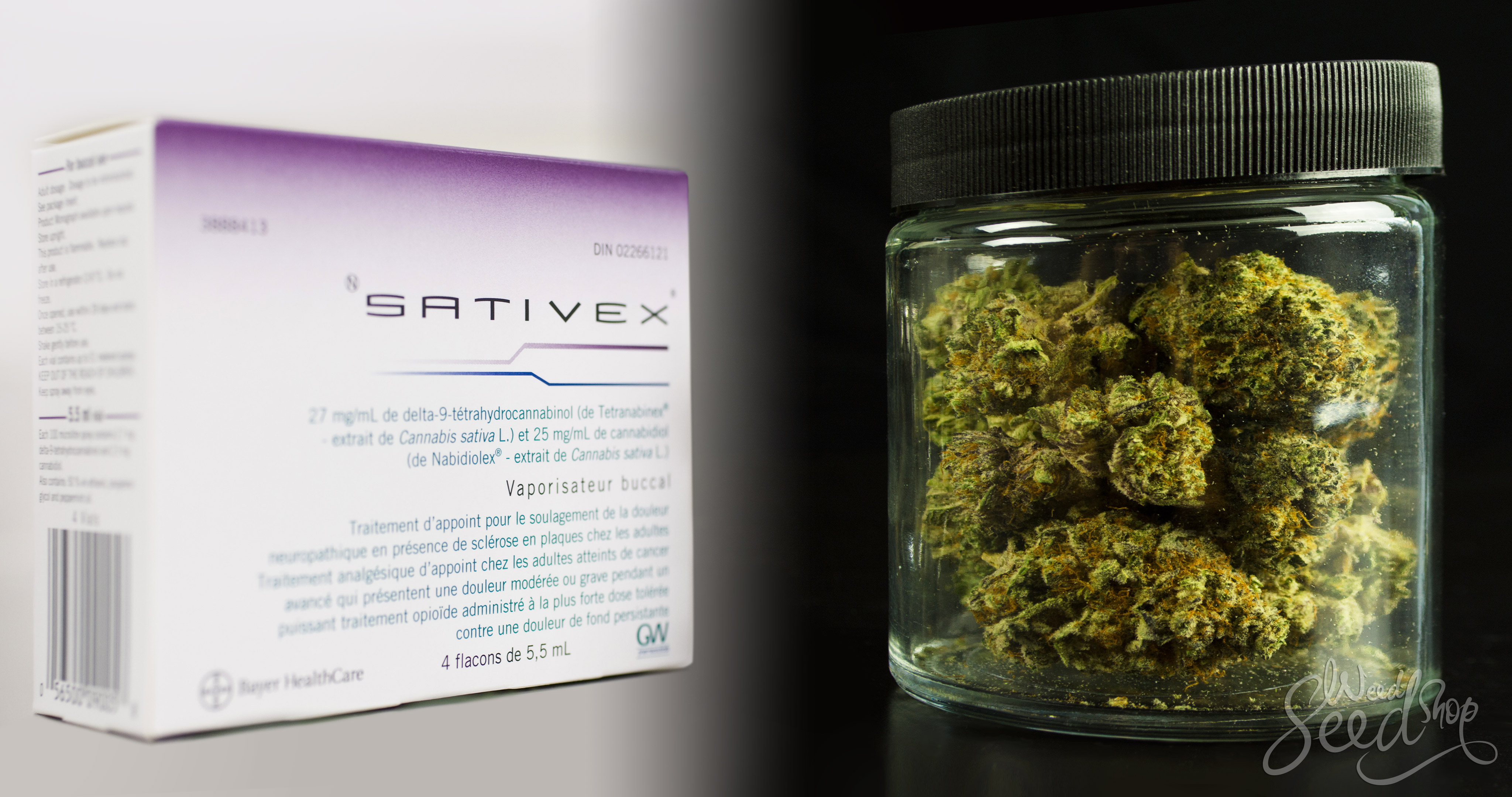 Sativex vs. Marihuana: Diferencias, pros y contras - WeedSeedShop