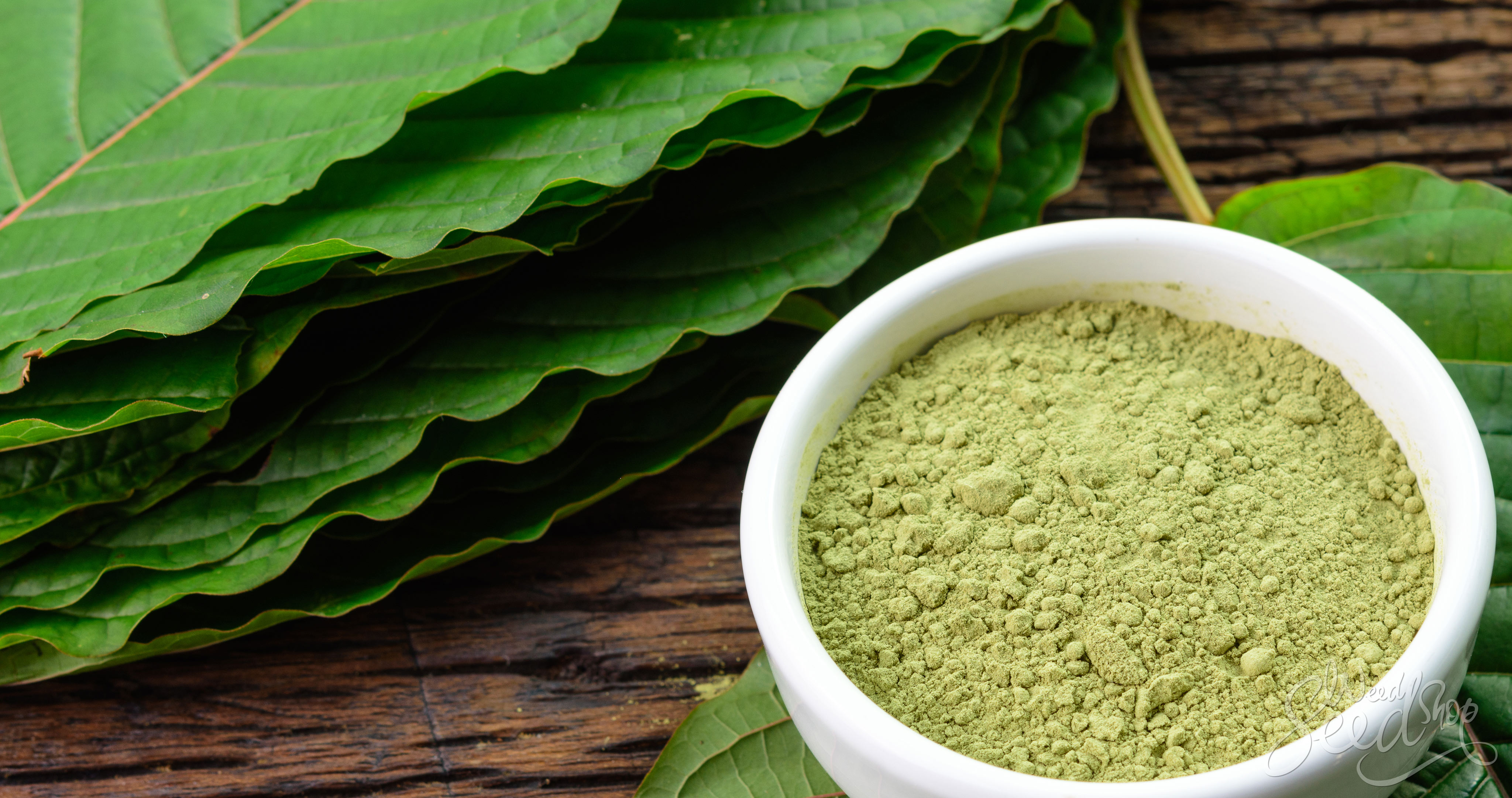 La biblia del Kratom: Todas las respuestas - WeedSeedShop