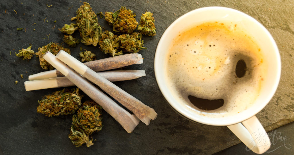 Avantages et inconvénients du wake and bake - WeedSeedShop