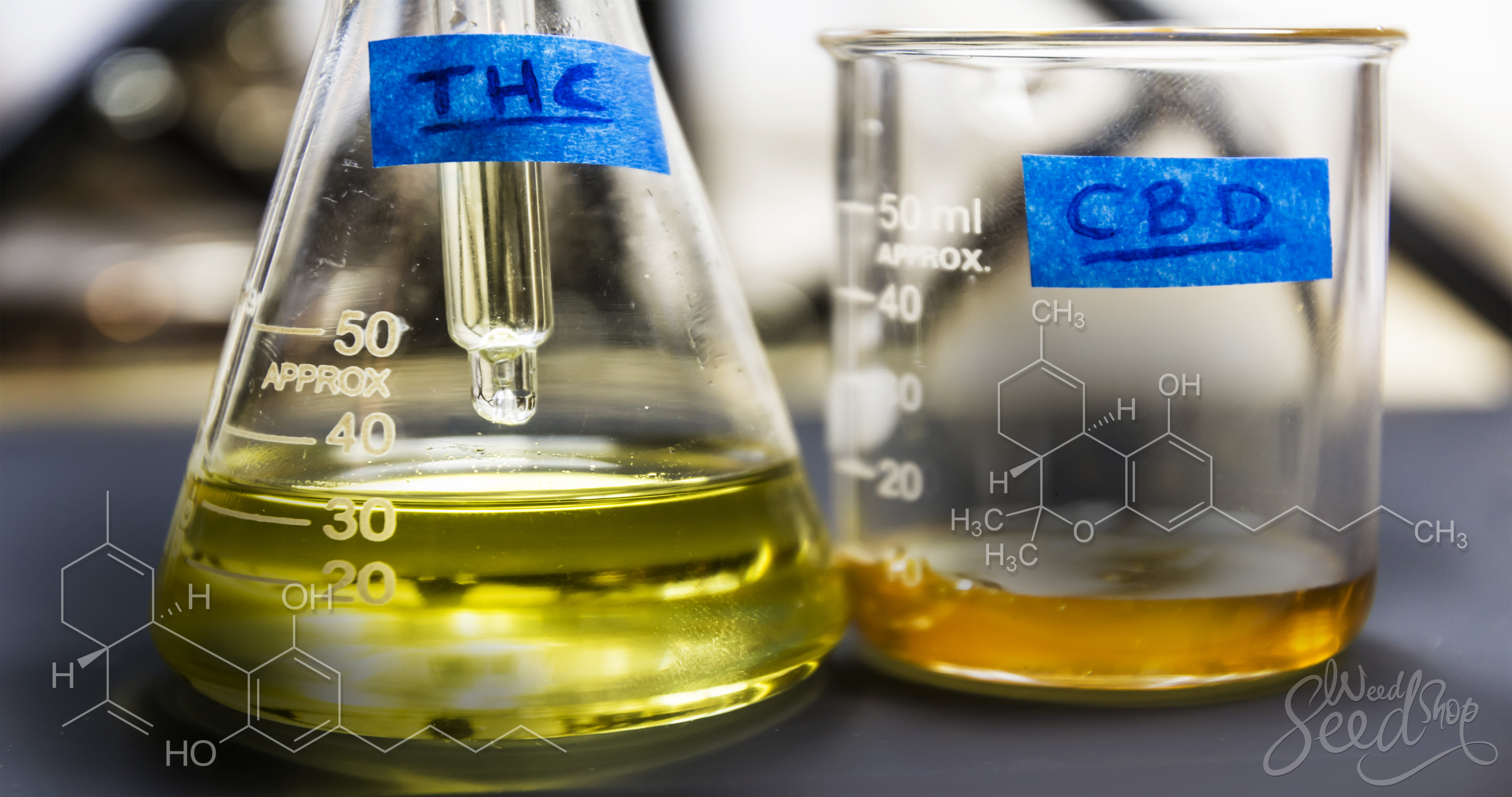 Weeding Out The Differences Between THC and CBD – Weed Seed Shop Blog