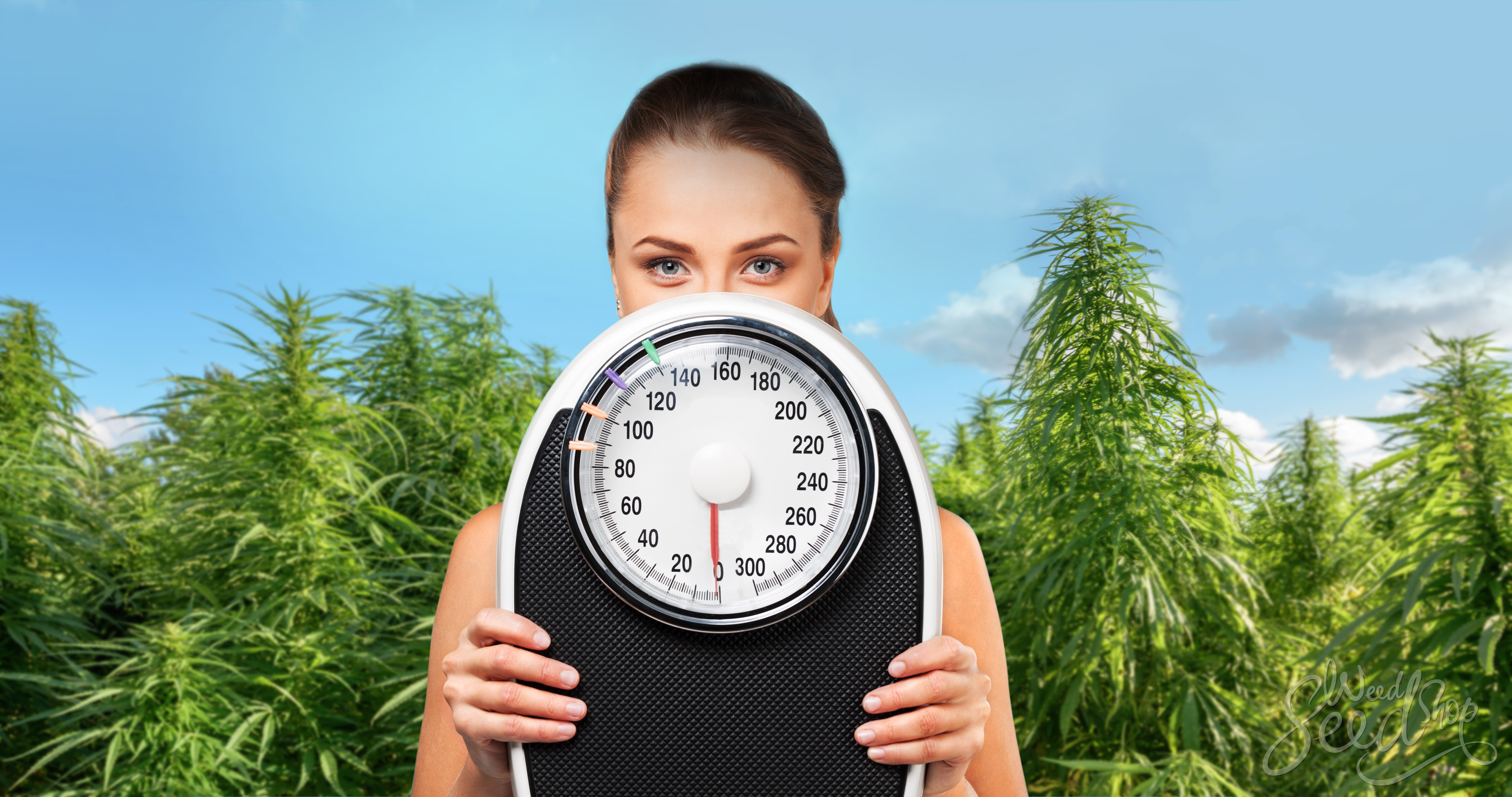 Marijuana – The Happy Helper for Weight Loss