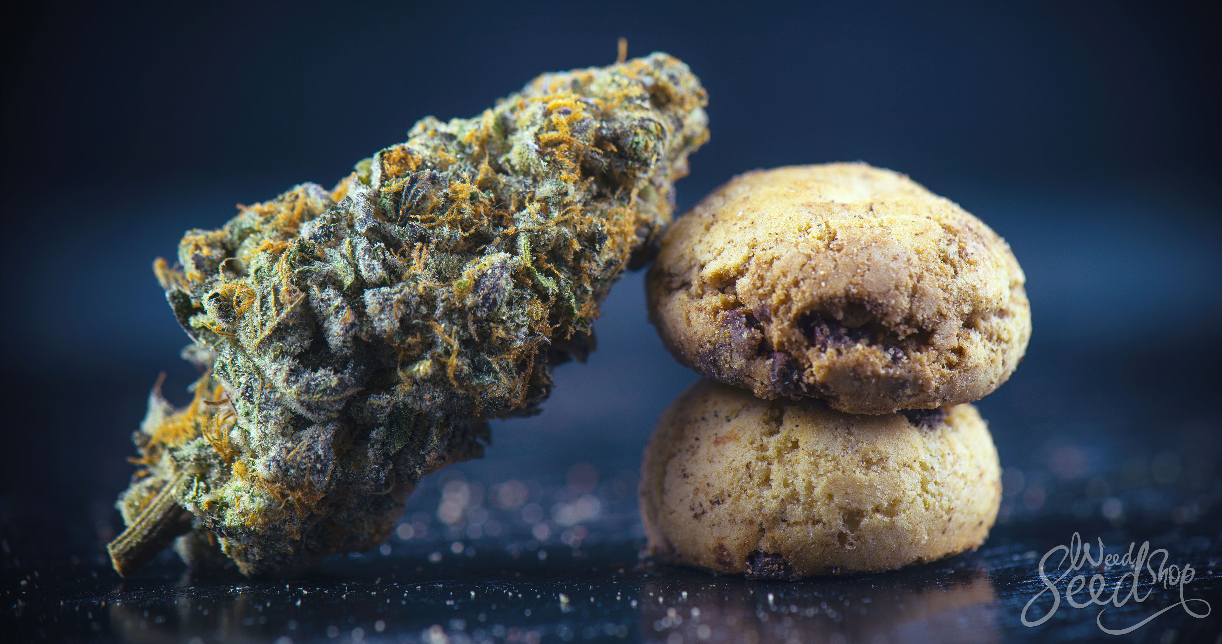 Top 15 Cannabis Edibles Zum Kaufen! - WeedSeedShop