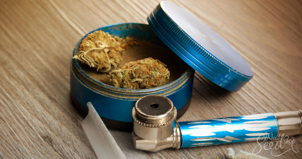 Ultimate Stoner Survival Kit: 11 Must-Haves – WeedSeedShop