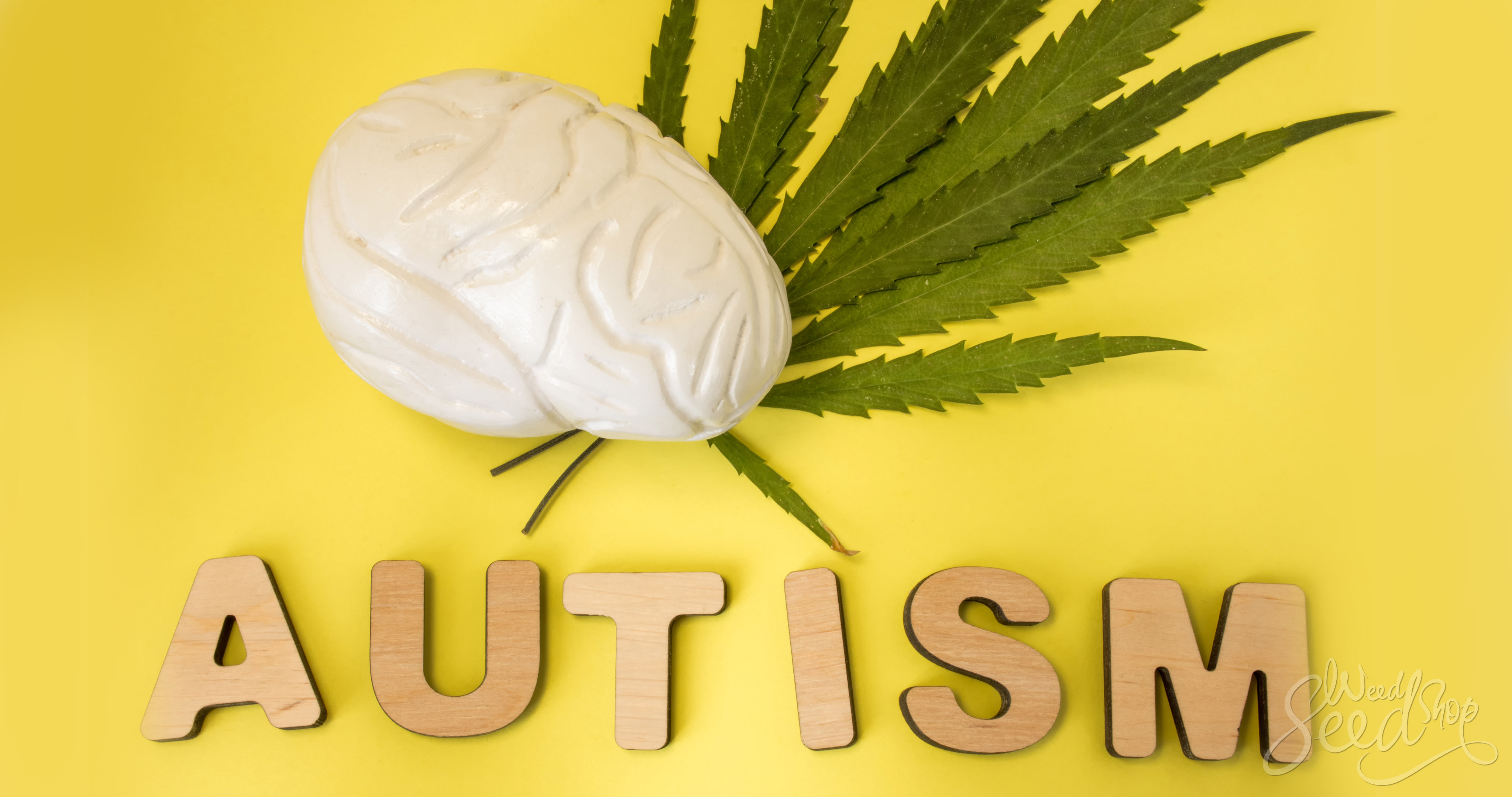 ¿La marihuana medicinal trata el autismo? - WeedSeedShop