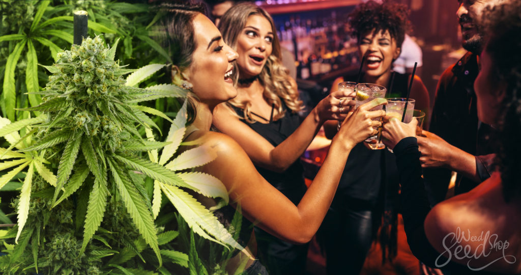 What is Cannabis-Infused Alcohol‏ and How Do You Make It? - Weed Seed Shop Blog