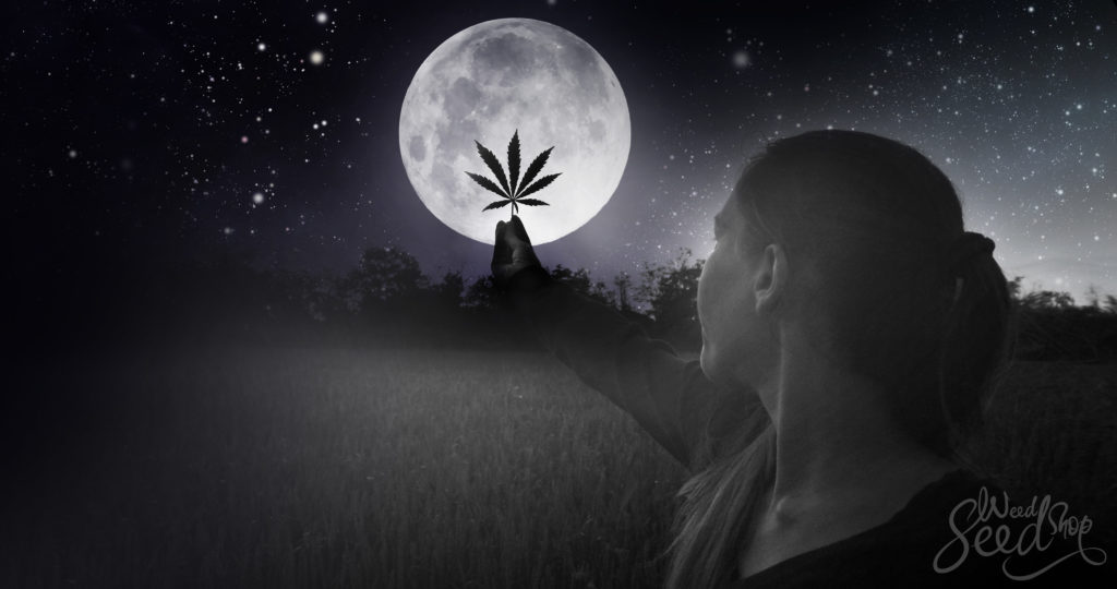 Menstrual Marijuana: Visiting a weed witch