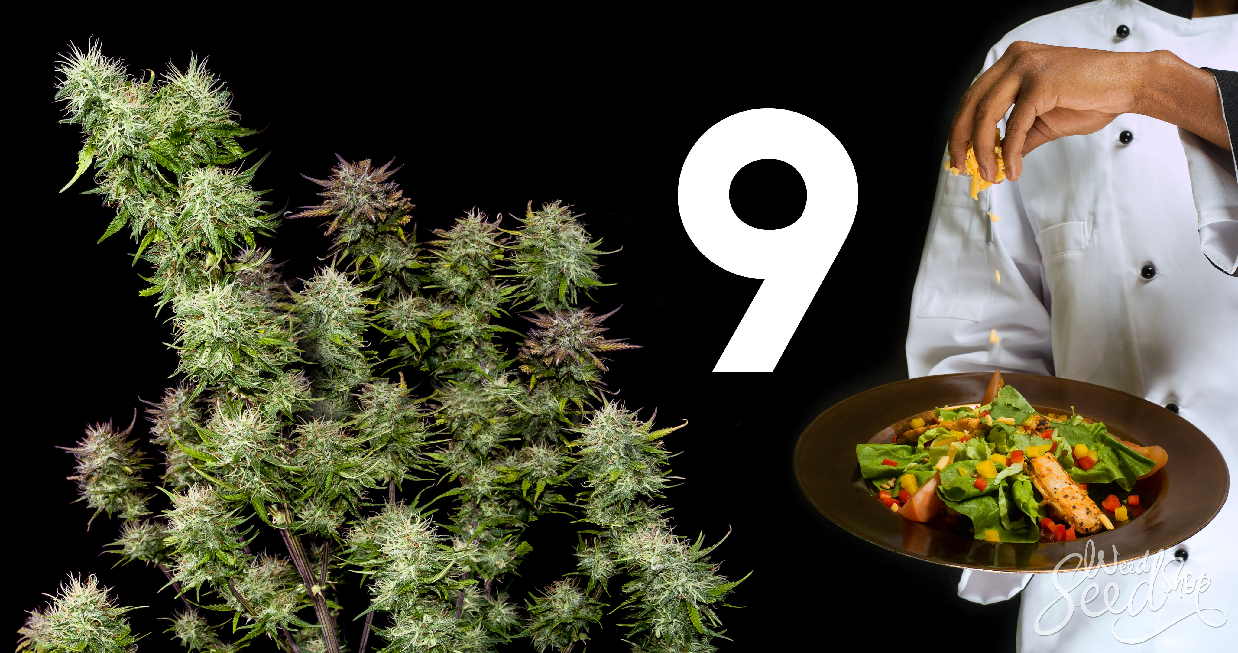 Los mejores 9 chefs de cannabis del mundo - WeedSeedShop