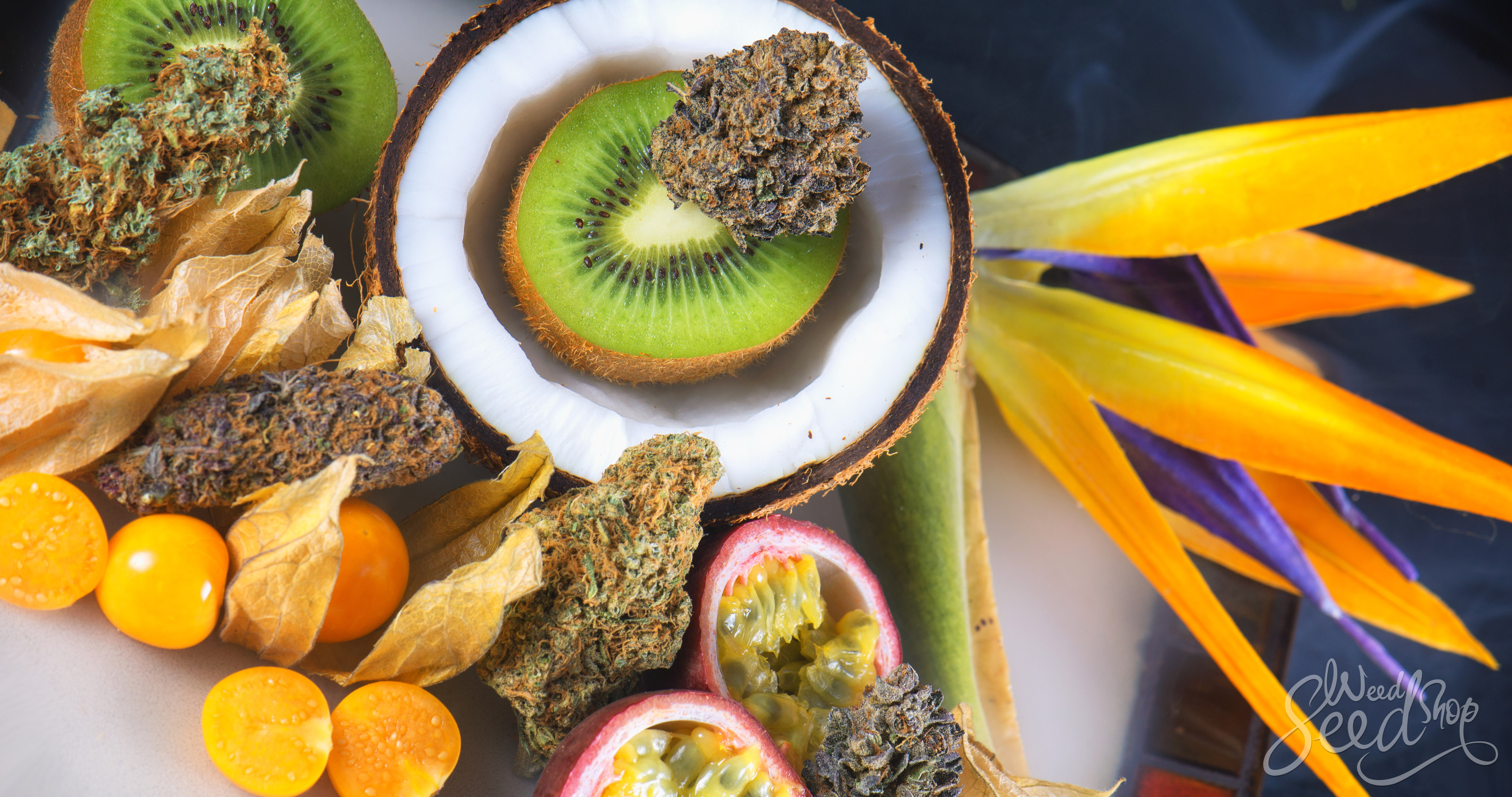 What Are Terpenes and What Do They Do? - WeedSeedShop Blog